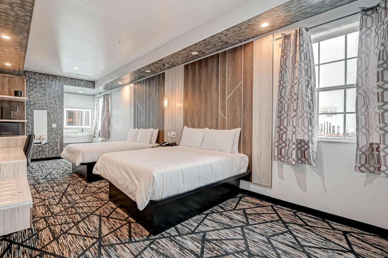 Surestay By Western Southeast Hotel South Houston